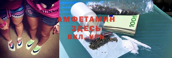 PSILOCYBIN Алзамай