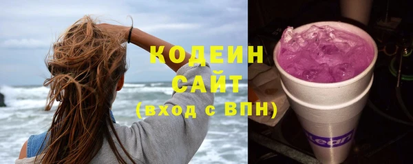 PSILOCYBIN Алзамай