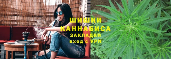 PSILOCYBIN Алзамай
