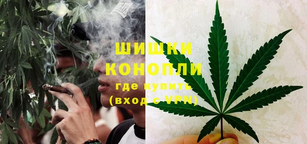 PSILOCYBIN Алексин