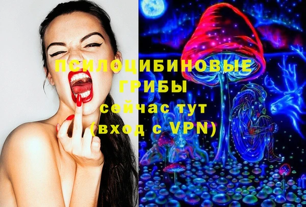 PSILOCYBIN Алексин