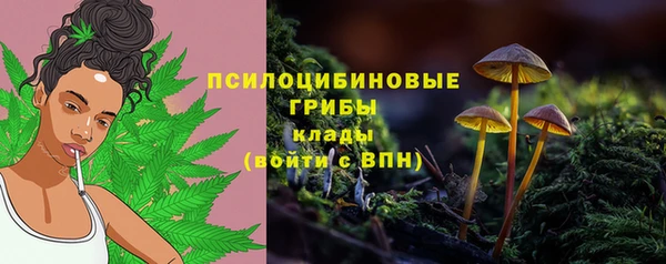 PSILOCYBIN Алзамай