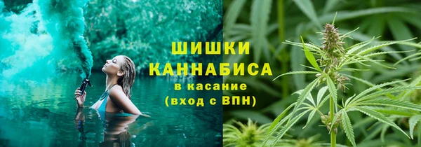 PSILOCYBIN Алзамай