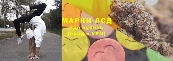 PSILOCYBIN Алзамай