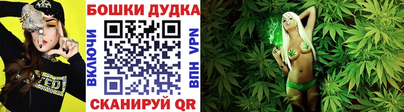 Канабис семена  как найти   Сосенский 